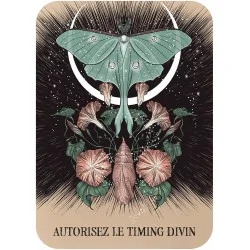 Le petit oracle de l'amour, autorisez le timing divin Le petit oracle de l'amour, autorisez le timing divin