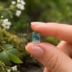 Tourmaline bleue (Indicolite) naturelle - Cristal de Kunar, Afghanistan - taille réel