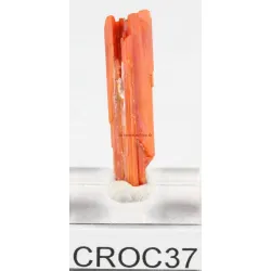 Crocoïte Croc37