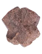 Staurolite, Pierre de croix, Croisette de Bretagne - Minéraux en ligne