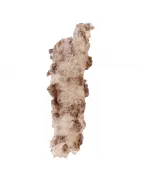 Fulgurite