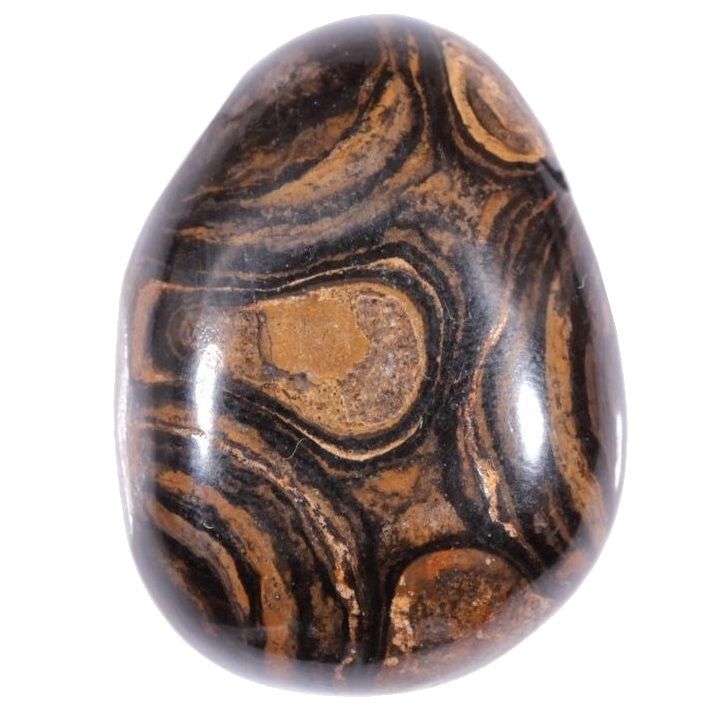 Stromatolite