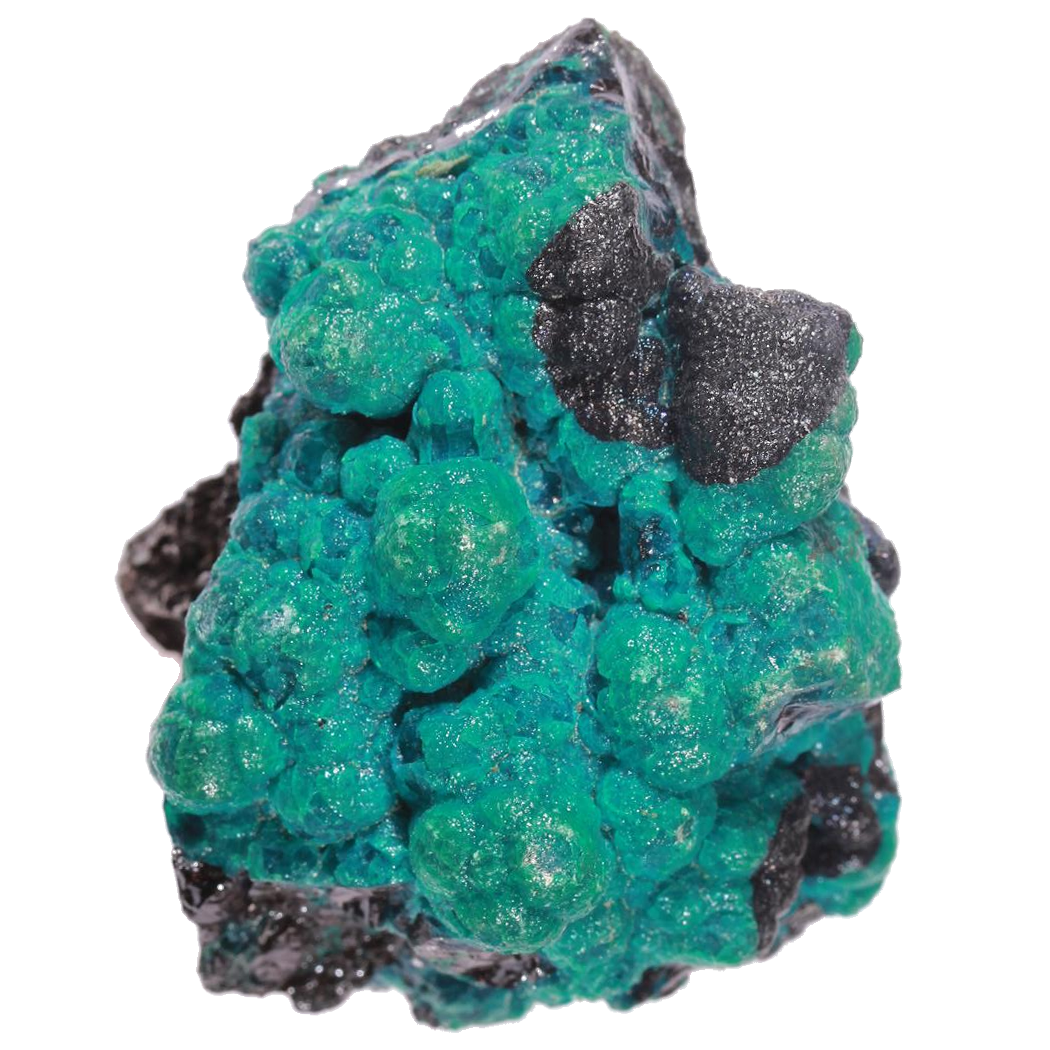 Chrysocolle